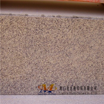 China Tiger Yellow Granite Tiles