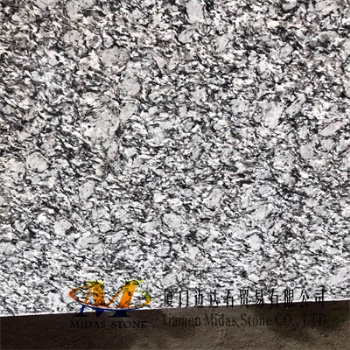 Polished Spray White Granite